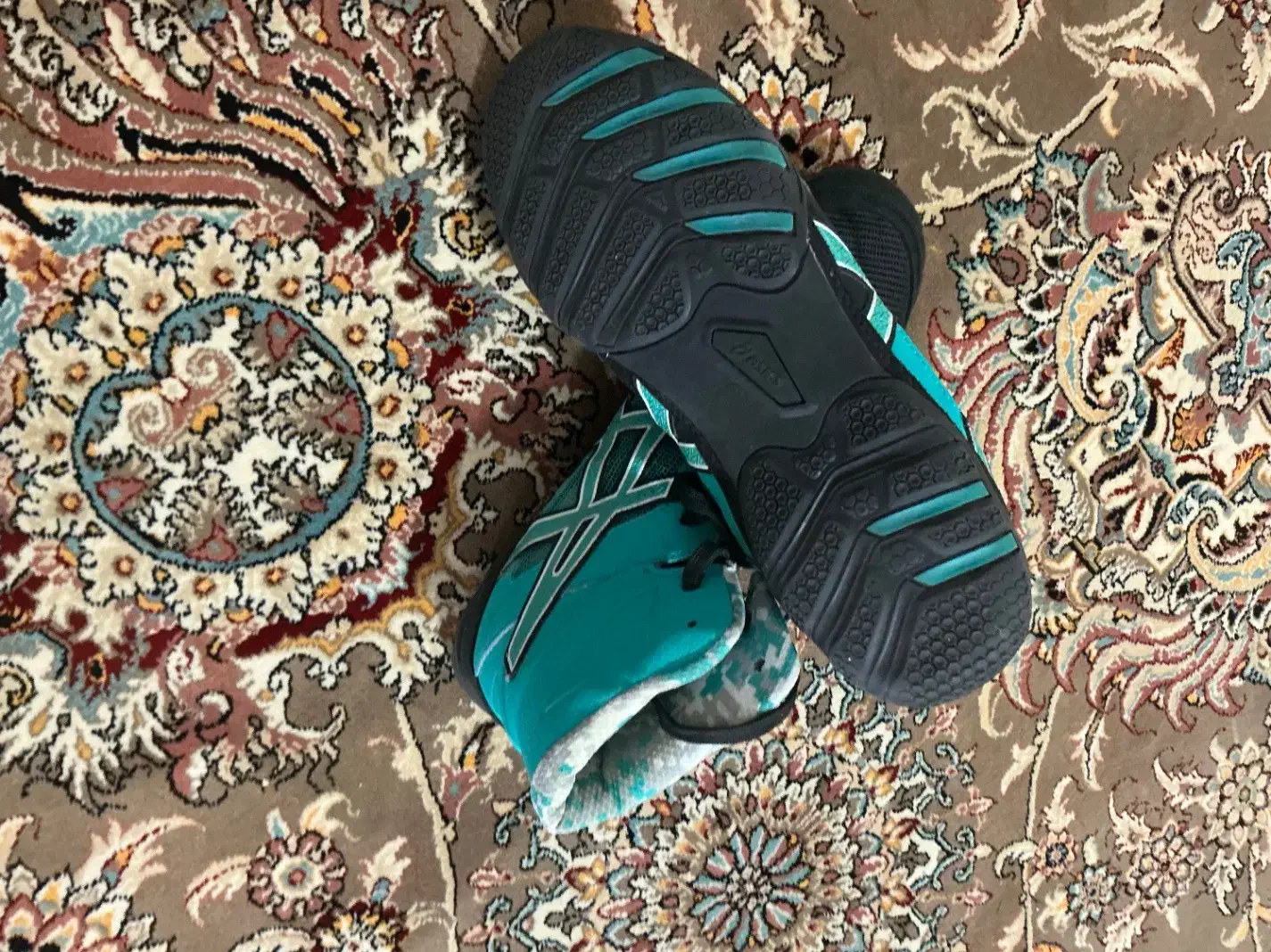 کفش حرفه ای کشتی و بدنسازی و بوکس مفت|کیف، کفش، کمربند|یاسوج, |دیوار