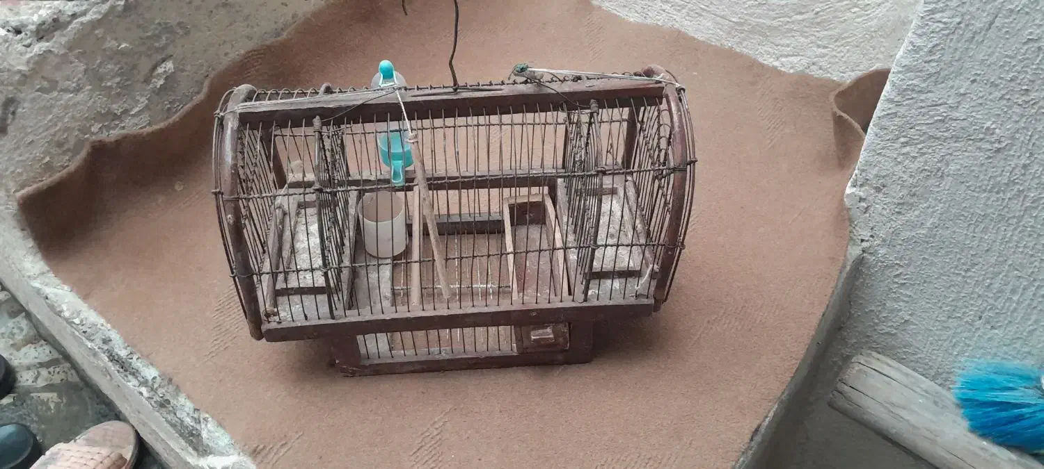 قفس شکاری|لوازم جانبی حیوانات|سنندج, |دیوار