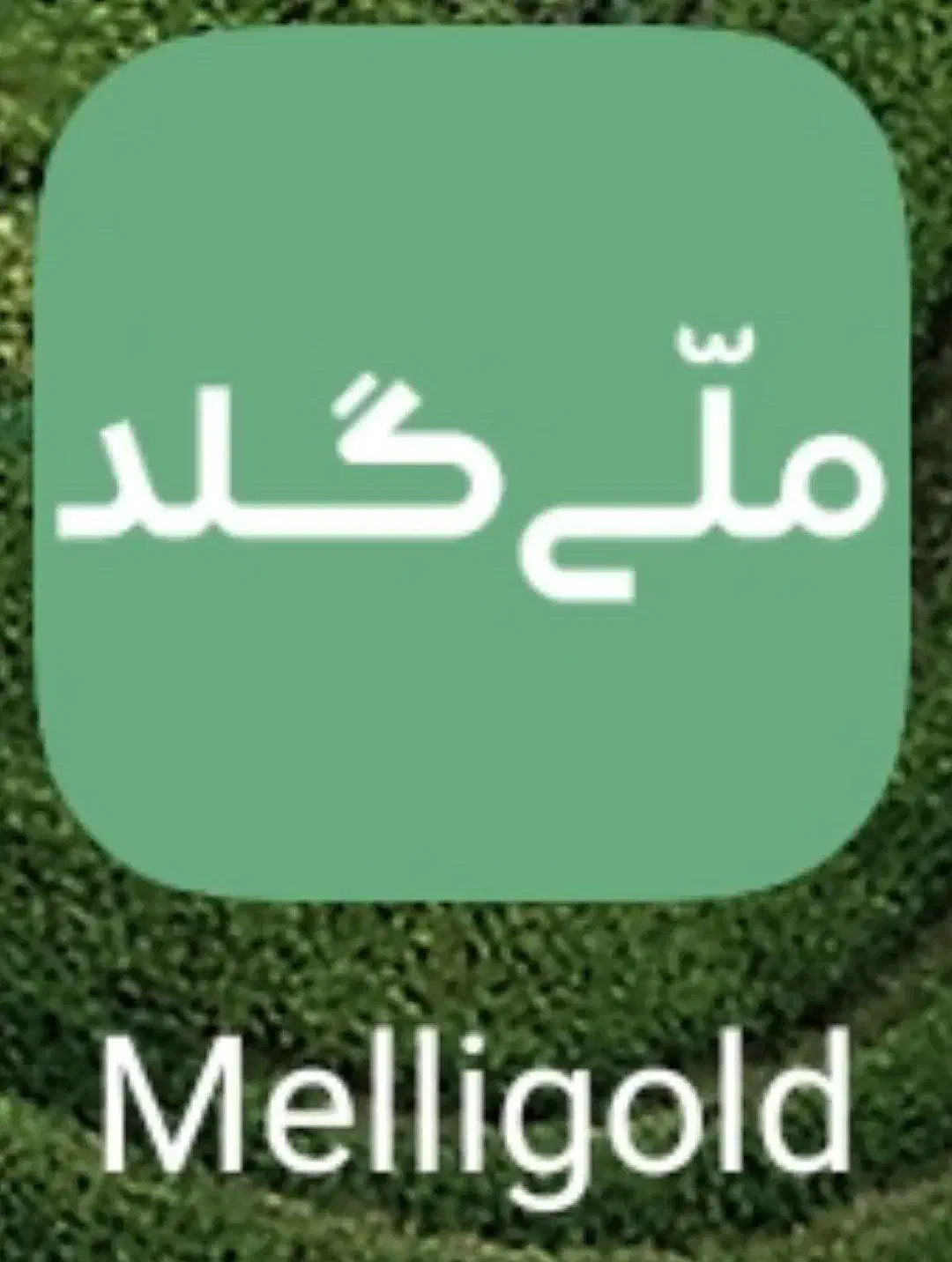 جایزه ببر با ملی گلد|کارت هدیه و تخفیف|کوهدشت, |دیوار