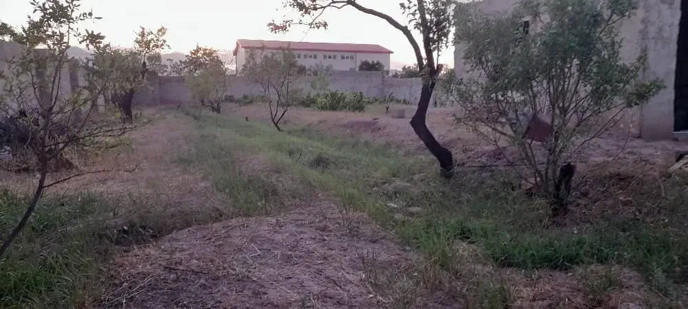 فروش باغ در صوفیان|فروش زمین و ملک کلنگی|صوفیان, |دیوار