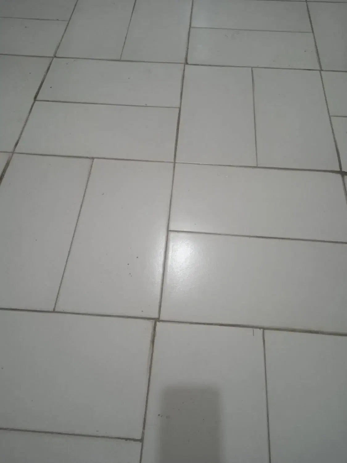 مغازه تجاری در شهر سجاس|فروش مغازه و غرفه|سجاس رود, |دیوار