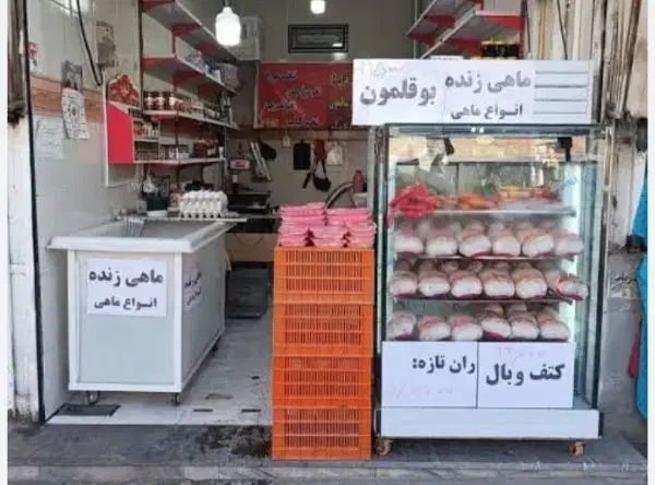 شاگرد قصاب نیمه ماهر|استخدام خدمات فروشگاه و رستوران|تربتحیدریه, حیدرآباد|دیوار