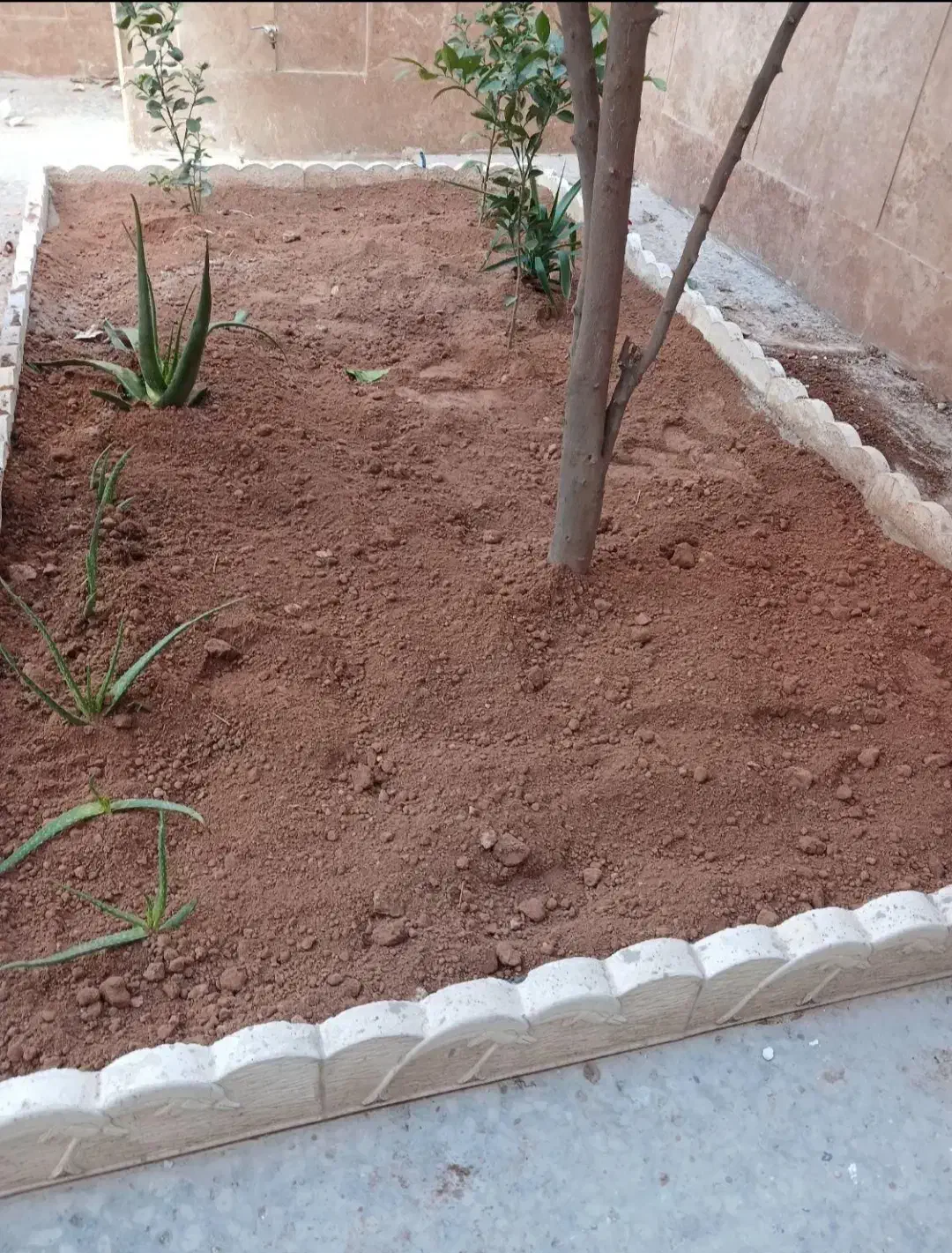 خاک باغچه درجه 1مخصوص باغچه ودرختکاری بانیسان|خدمات باغبانی و درختکاری|زاهدان, |دیوار