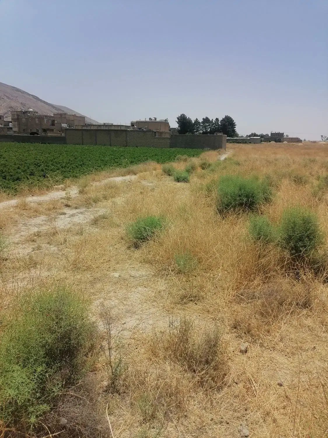 فروش زمین|فروش زمین و ملک کلنگی|شیراز, کفترک|دیوار