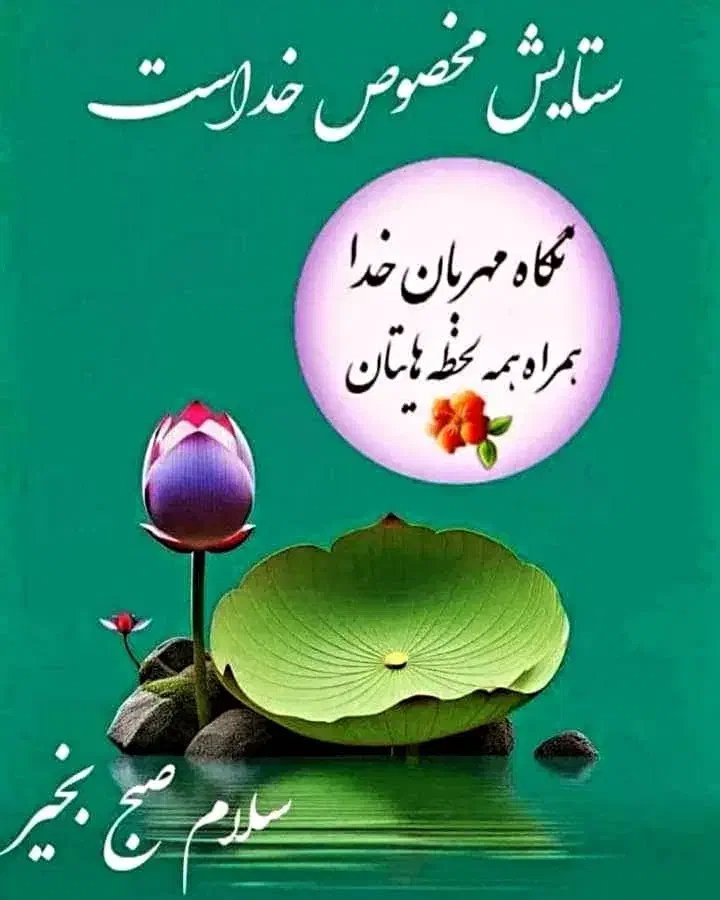 راهنمایی درآمد|فعالیت داوطلبانه|شیراز, نصر|دیوار