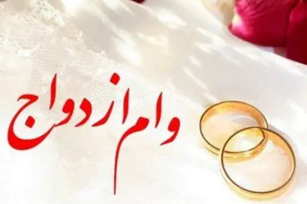 نیازمند ضامن|خدمات مالی، حسابداری، بیمه|سلماس, |دیوار