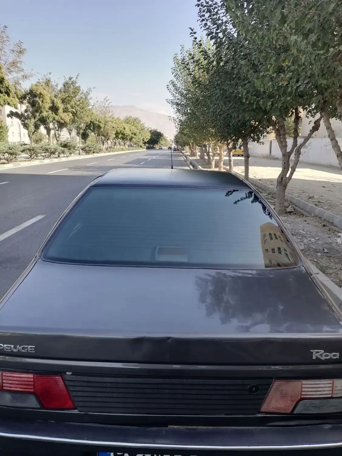 پژو روآ|خودرو سواری و وانت|فردیس, داوری|دیوار