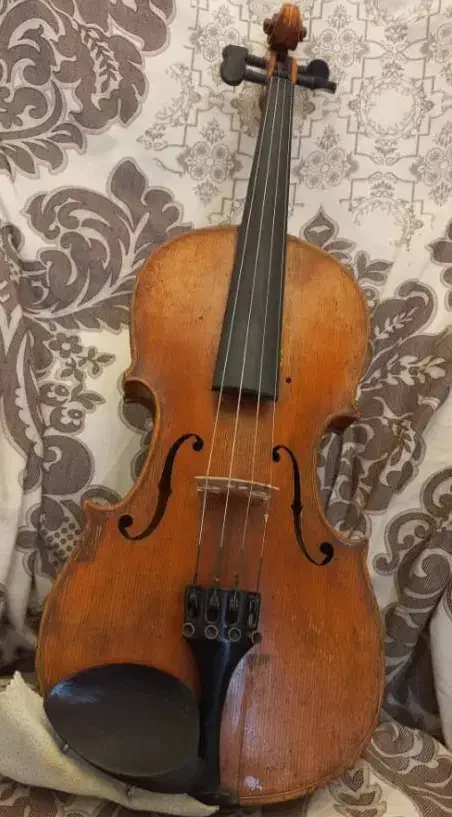 آموزش ویولن|خدمات آموزشی|اصفهان, ملکشهر|دیوار