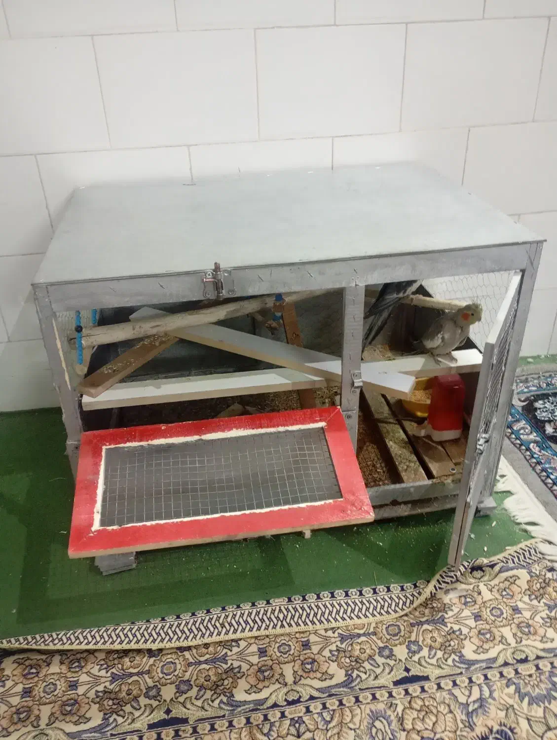 قفس پرنده|لوازم جانبی حیوانات|حمیدیا, |دیوار