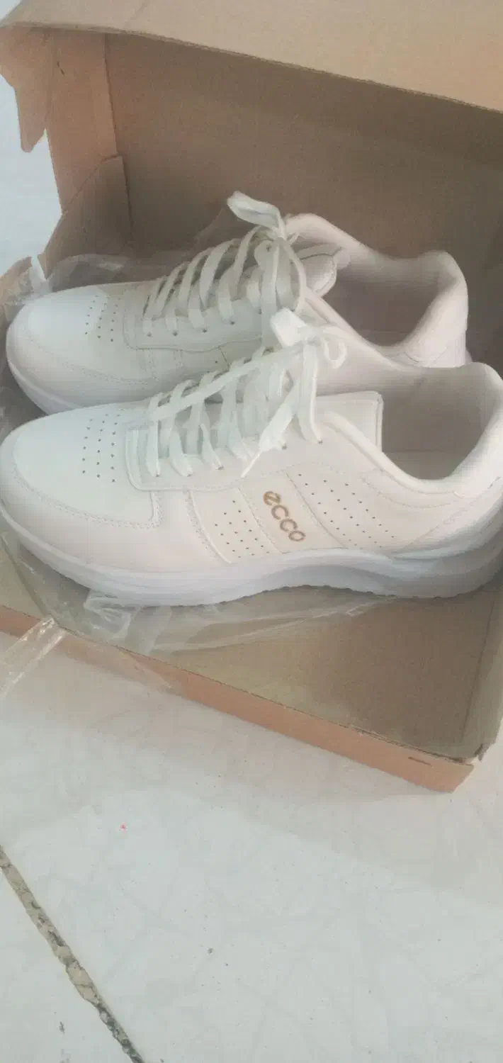 کتونی اکو|کیف، کفش، کمربند|ملارد, |دیوار