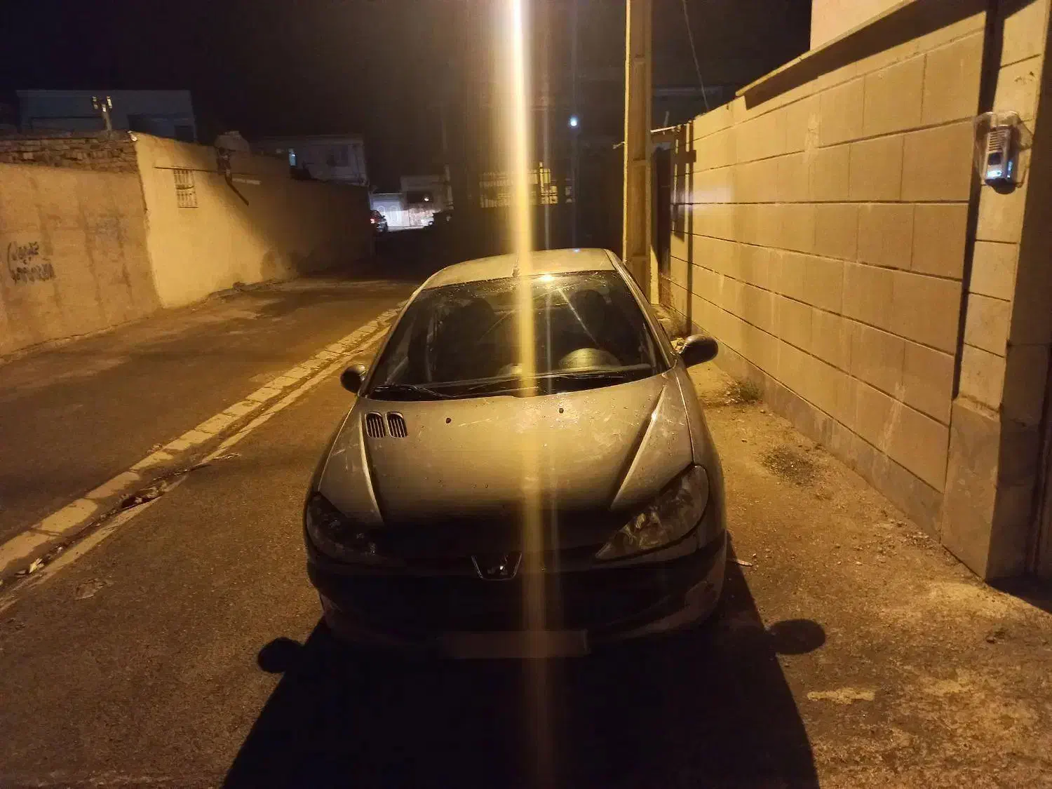 206 فرانسه|خودرو سواری و وانت|بوئین زهرا, |دیوار