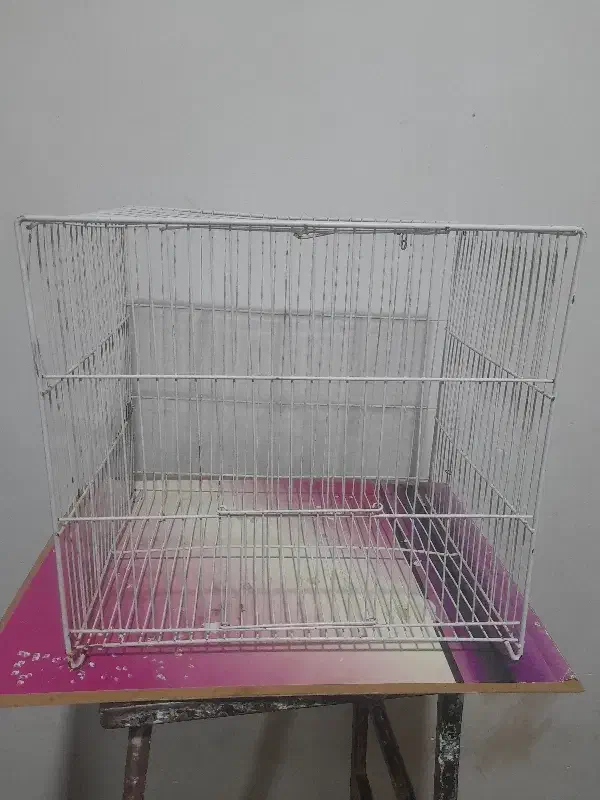 قفس|لوازم جانبی حیوانات|مشهد, شهید معقول|دیوار