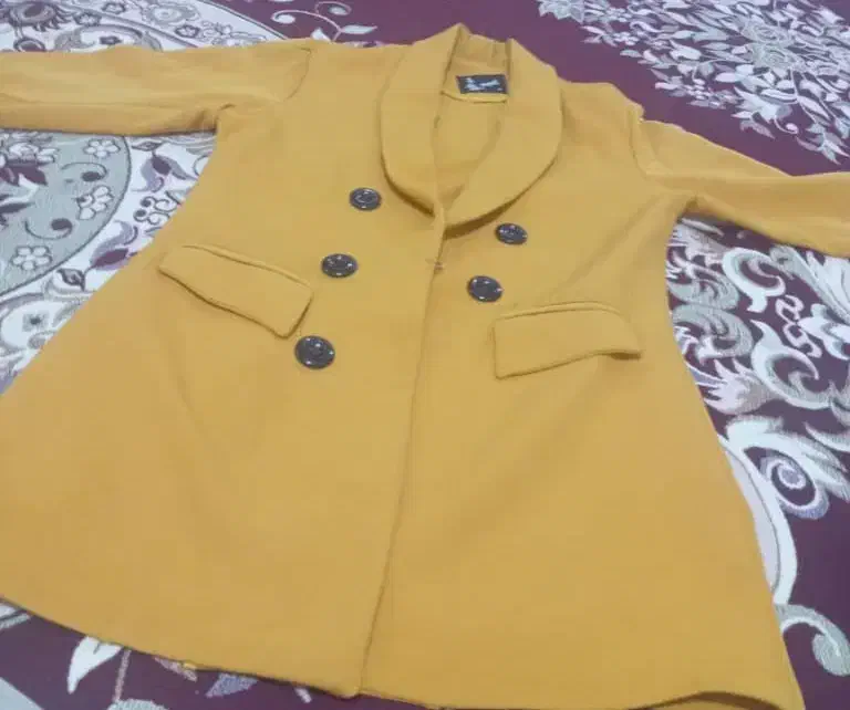 کوچک شده است|لباس|مرودشت, محمد آباد|دیوار