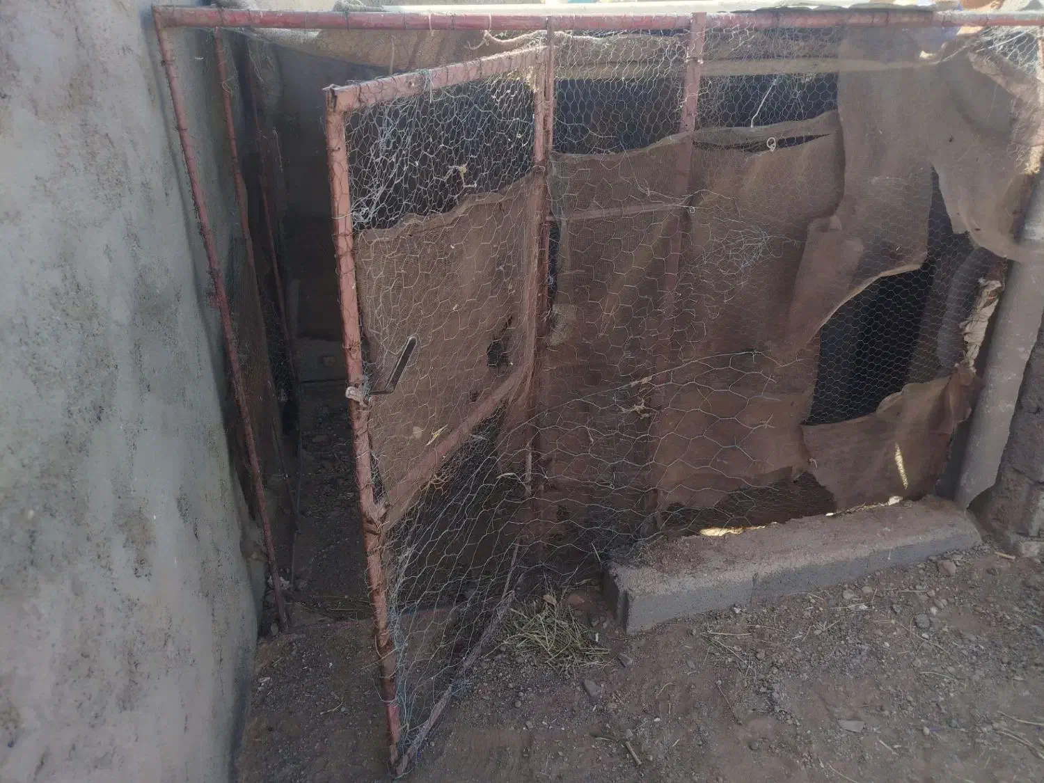 قفس بزرگ|لوازم جانبی حیوانات|سرایان, |دیوار