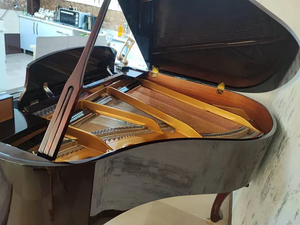 پیانو گرند|پیانو، کیبورد، آکاردئون|شیراز, شهرک مفتح|دیوار