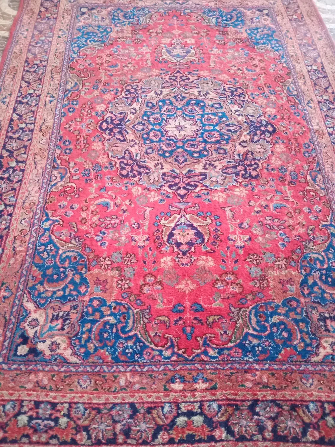 قالی دست بافت|فرش|هلالی, |دیوار