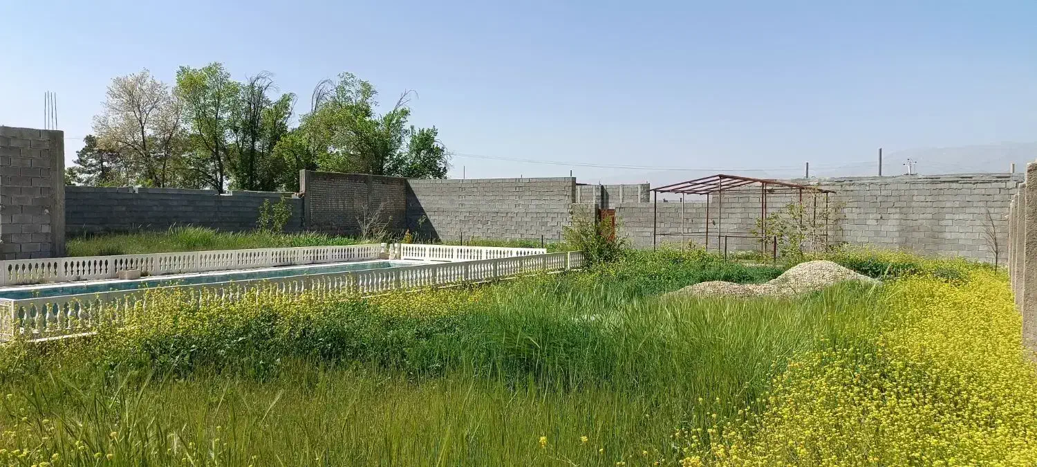 تصویر 8