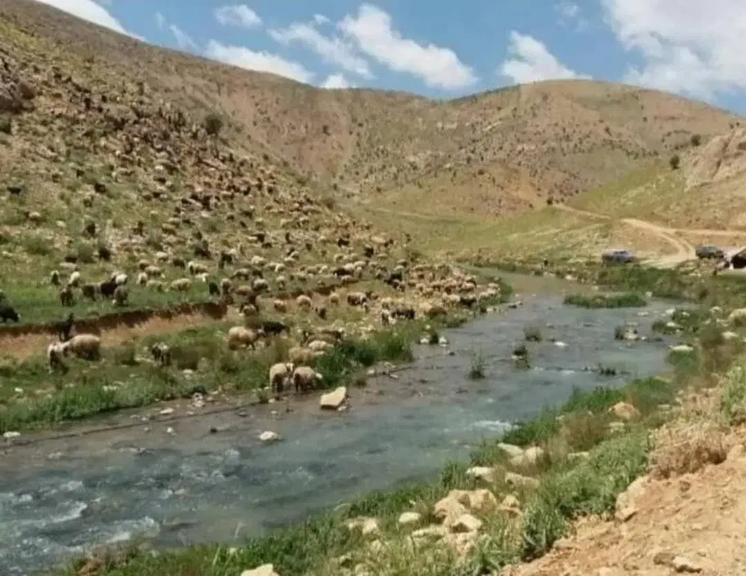 زمین ویلا باغی لوکس در بهش ایران|فروش زمین و ملک کلنگی|شیراز, سینما سعدی|دیوار