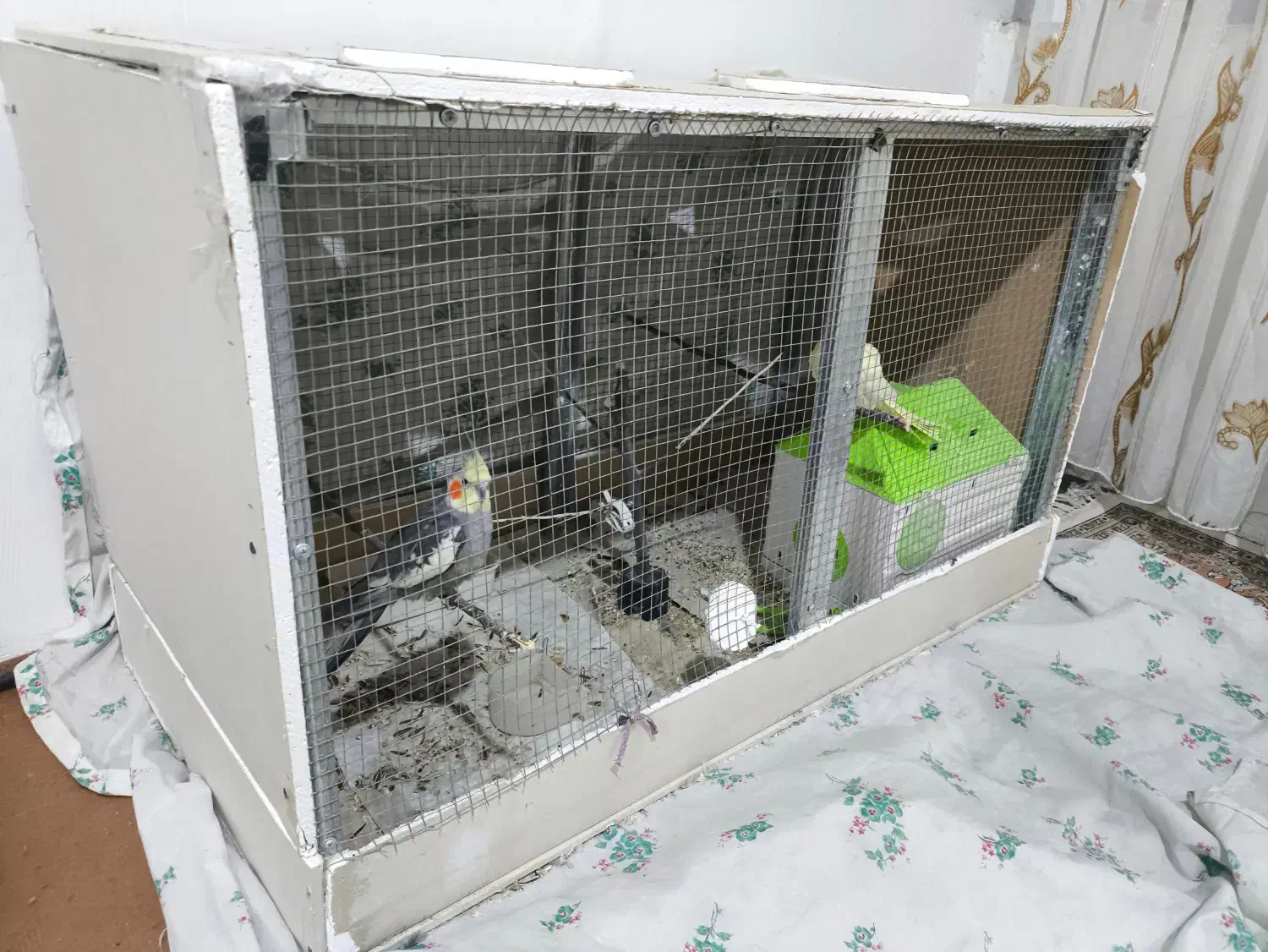 قفس پرنده|لوازم جانبی حیوانات|نقده, |دیوار