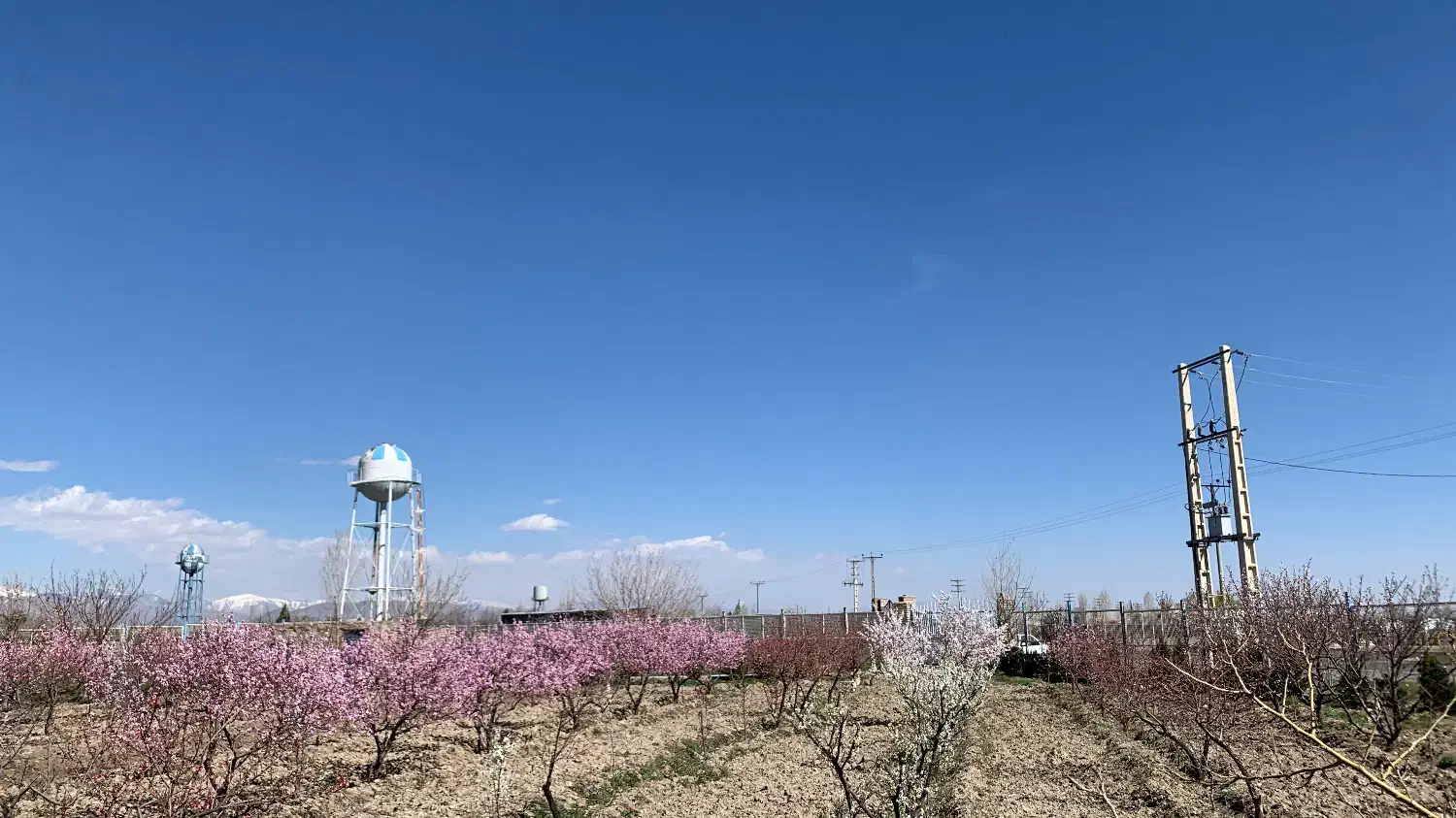 زمین داخل بافت ویلایی ۲۵۰۰ متری|فروش زمین و ملک کلنگی|تنکمان, |دیوار