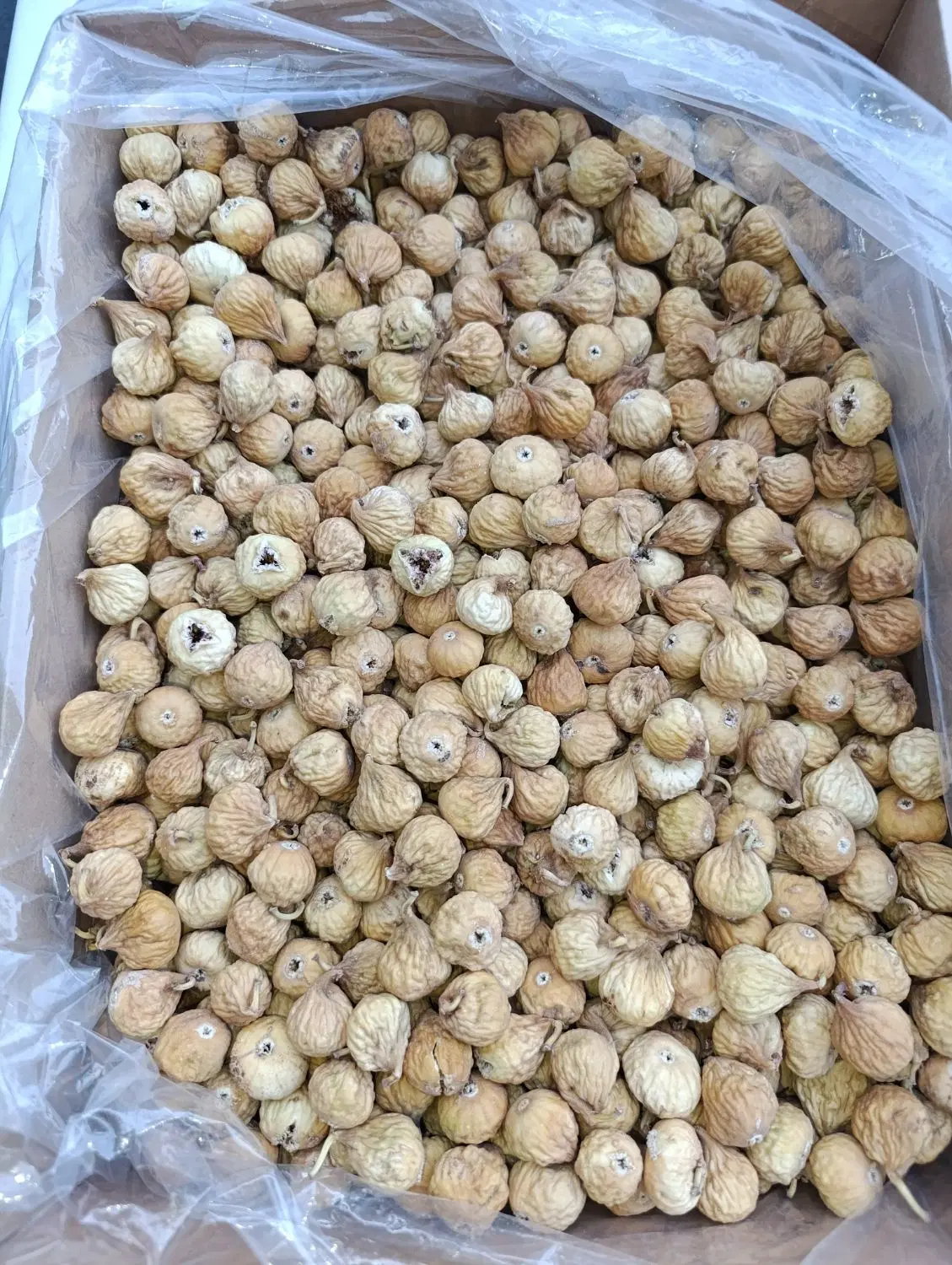 انجیر|خوردنی و آشامیدنی|استهبان, |دیوار
