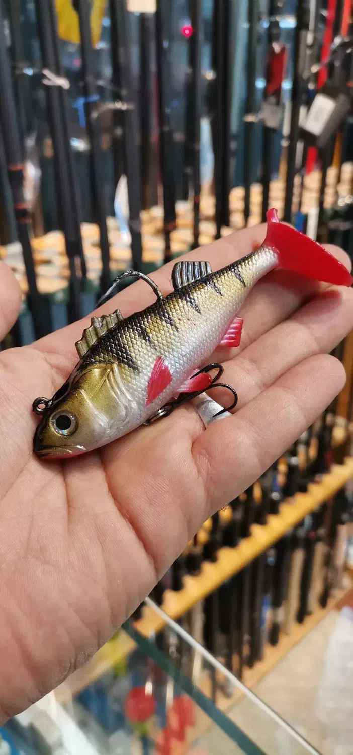 ماهی ژله ای|ماهیگیری|مشهد, آزادشهر|دیوار