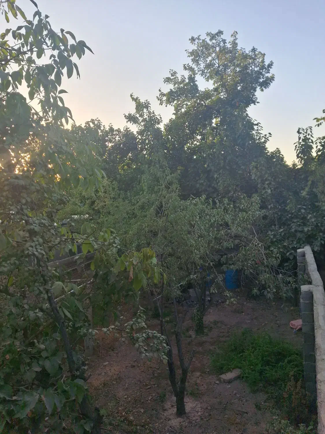 فروش|فروش خانه و ویلا|کوهسار (البرز), |دیوار