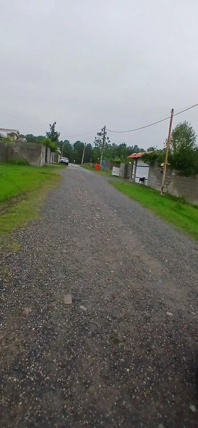 ۳۰۰متر زمین مسکونی سند۶ دانگ تک برگ شهرک ساماندهی|فروش زمین و ملک کلنگی|رضوانشهر, |دیوار