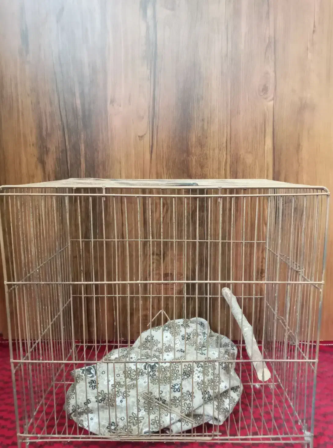 قفس پرنده|لوازم جانبی حیوانات|قدس, شهرک فرزان|دیوار