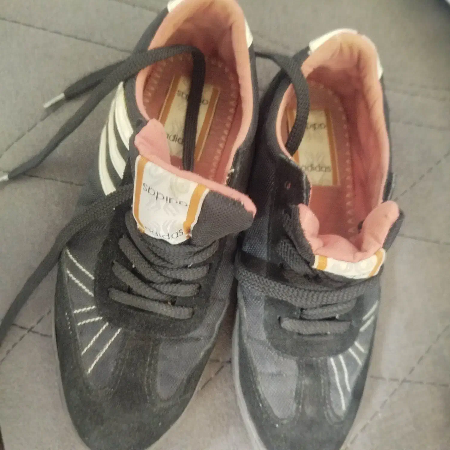 کفش|کیف، کفش، کمربند|آران و بیدگل, |دیوار