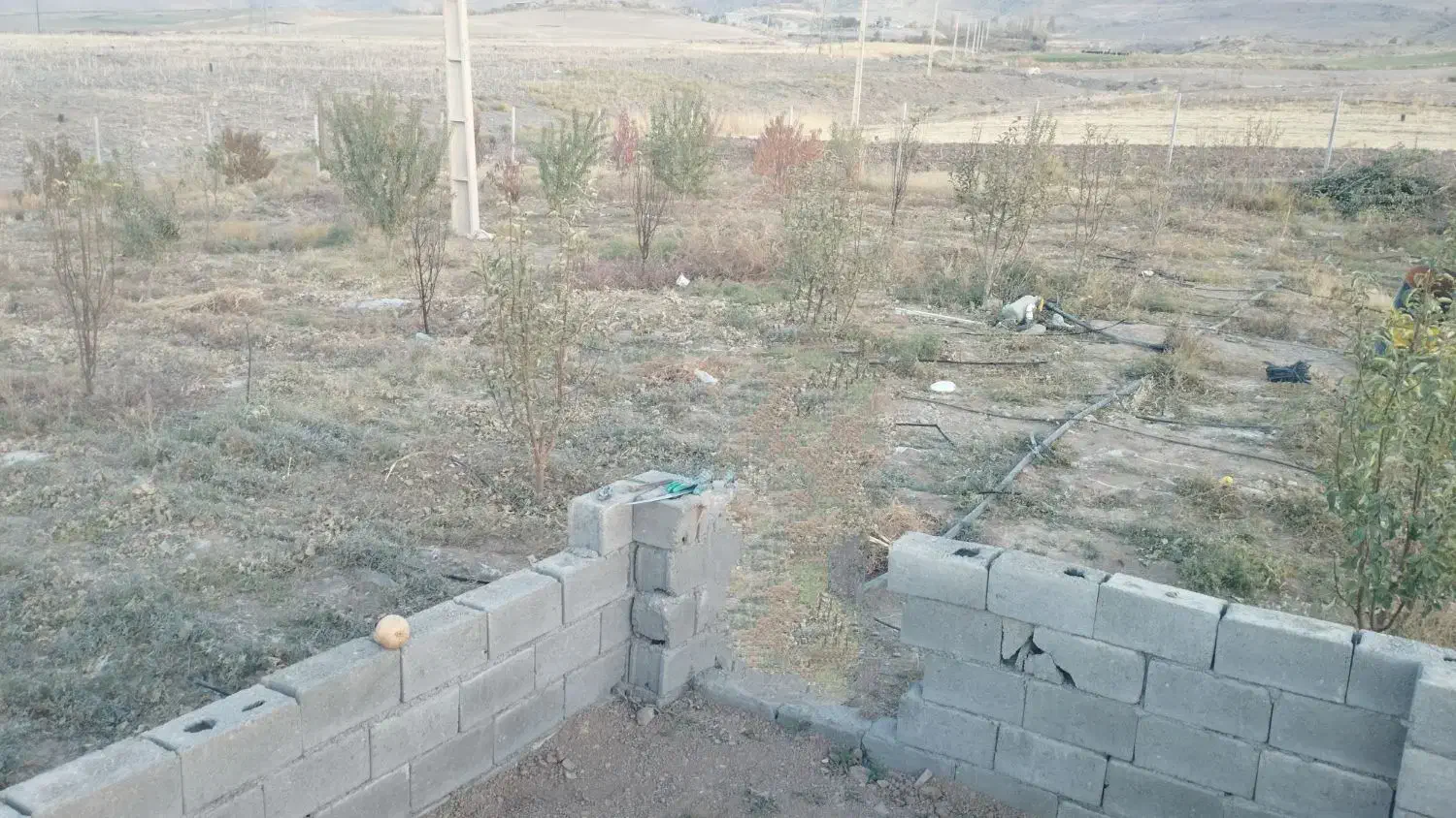 باغ دوهزار متری در زرنق|فروش دفتر صنعتی، کشاورزی، تجاری|میانه, |دیوار