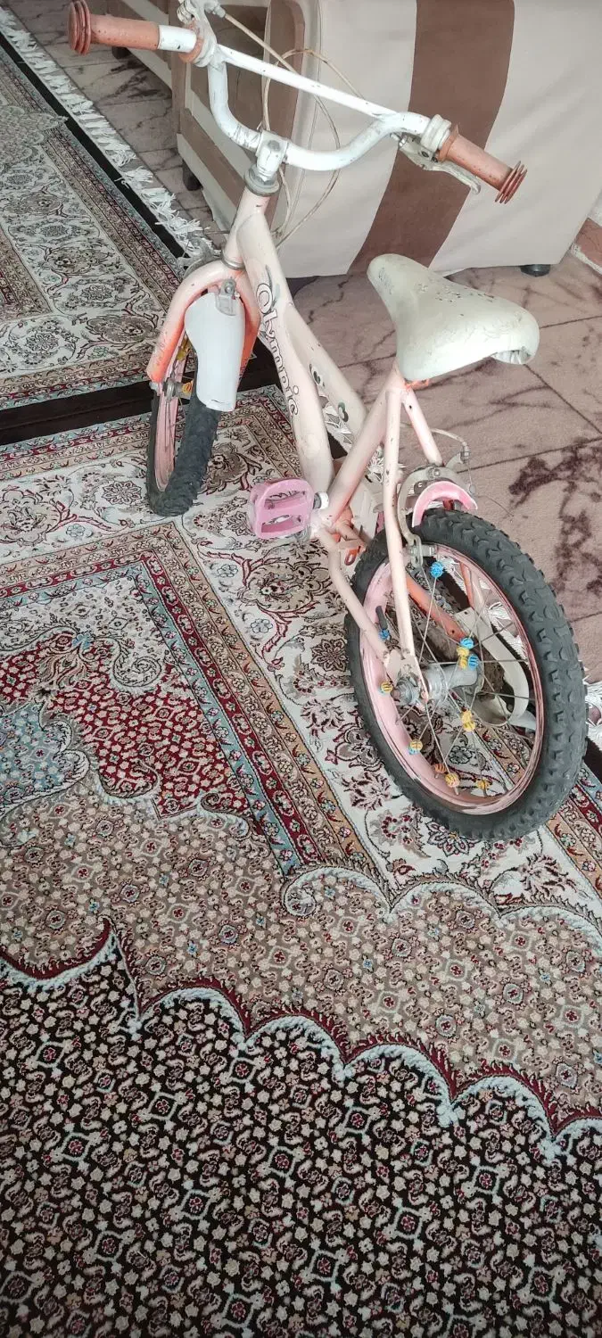 دوچرخه 20|دوچرخه، اسکیت، اسکوتر|گلبهار, شهر جدید گلبهار|دیوار