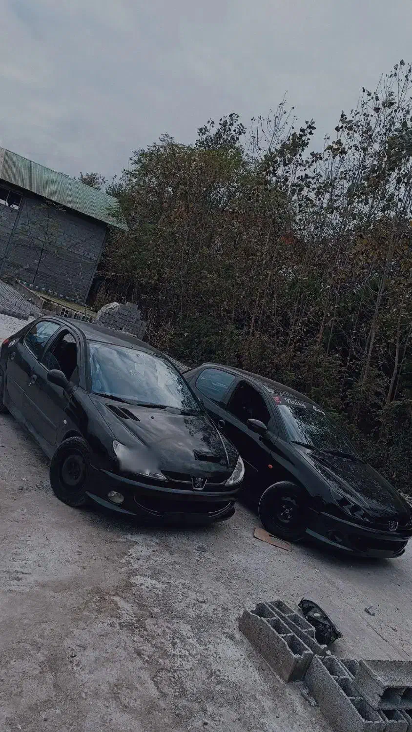 پژو ۲۰۶ تیپ ۵|خودرو سواری و وانت|رودسر, |دیوار