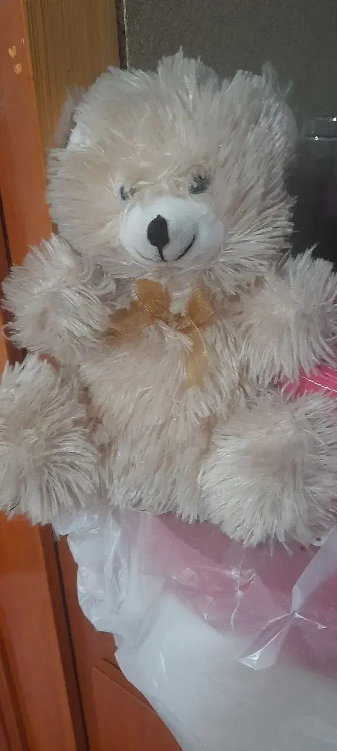 خرس|اسباب‌‌بازی|اردبیل, |دیوار