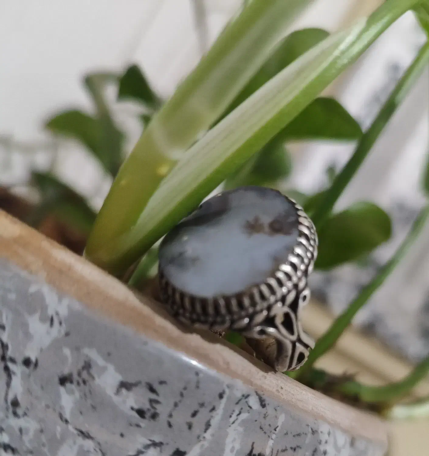 شجر|زیورآلات و اکسسوری|رفسنجان, |دیوار