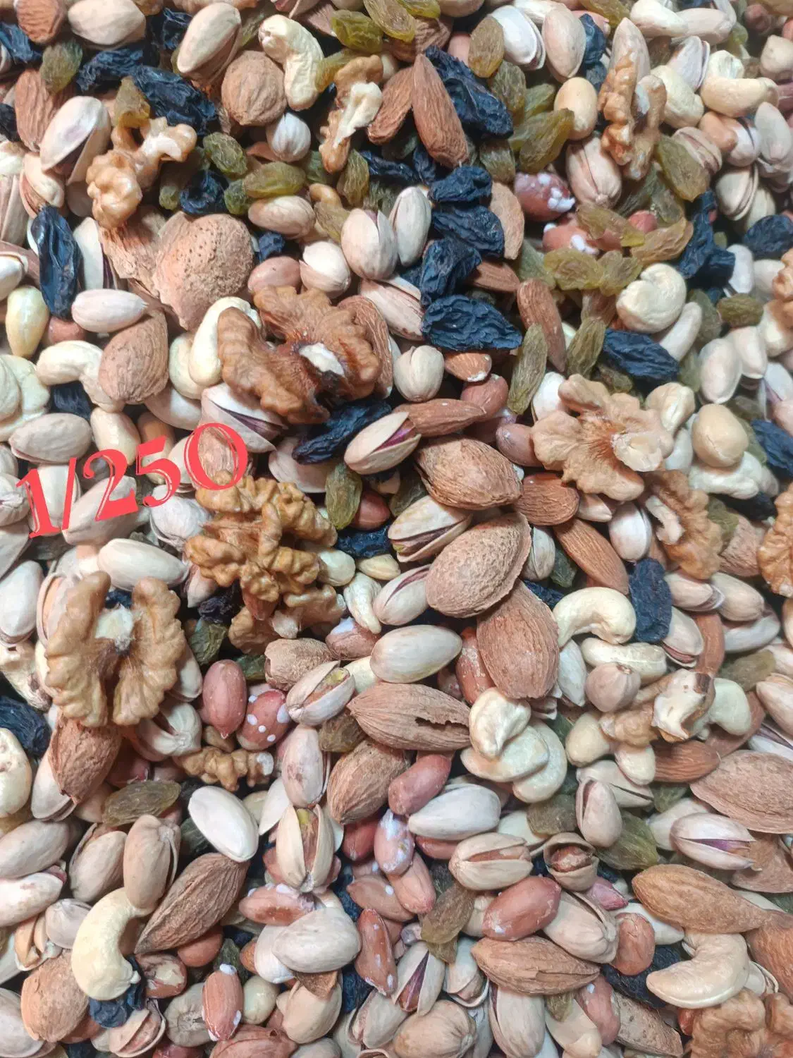 آجیل مخصوص یلدا مخصوص ارگانها و سازمانها|عمدهفروشی|تهران, بازار|دیوار