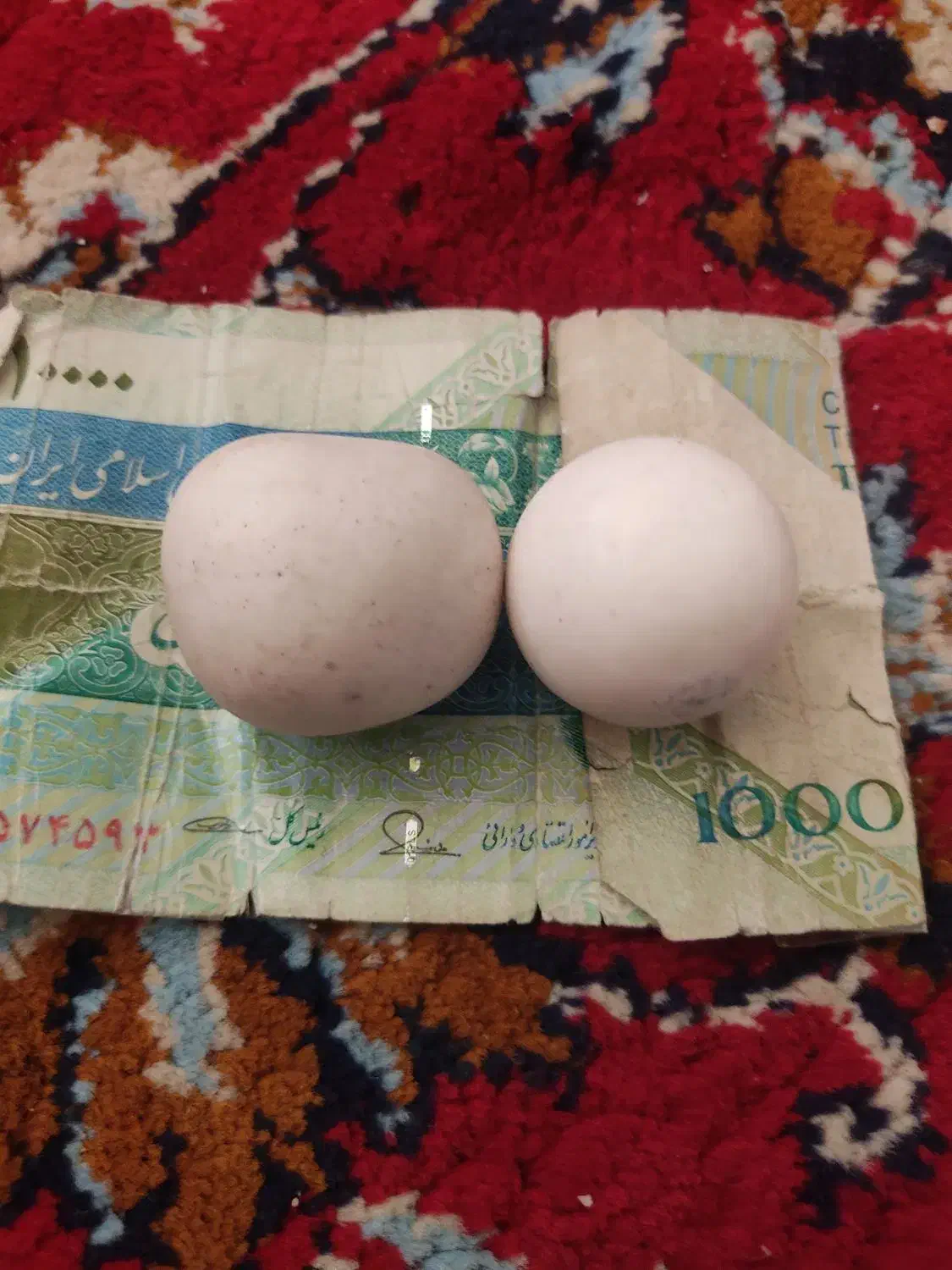سنگ آسیاب الماس|کلکسیون اشیاء عتیقه|شیراز, سلطان آباد|دیوار