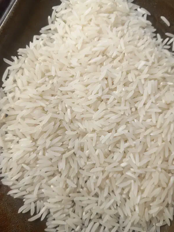 برنج فجر|خوردنی و آشامیدنی|خان ببین, |دیوار