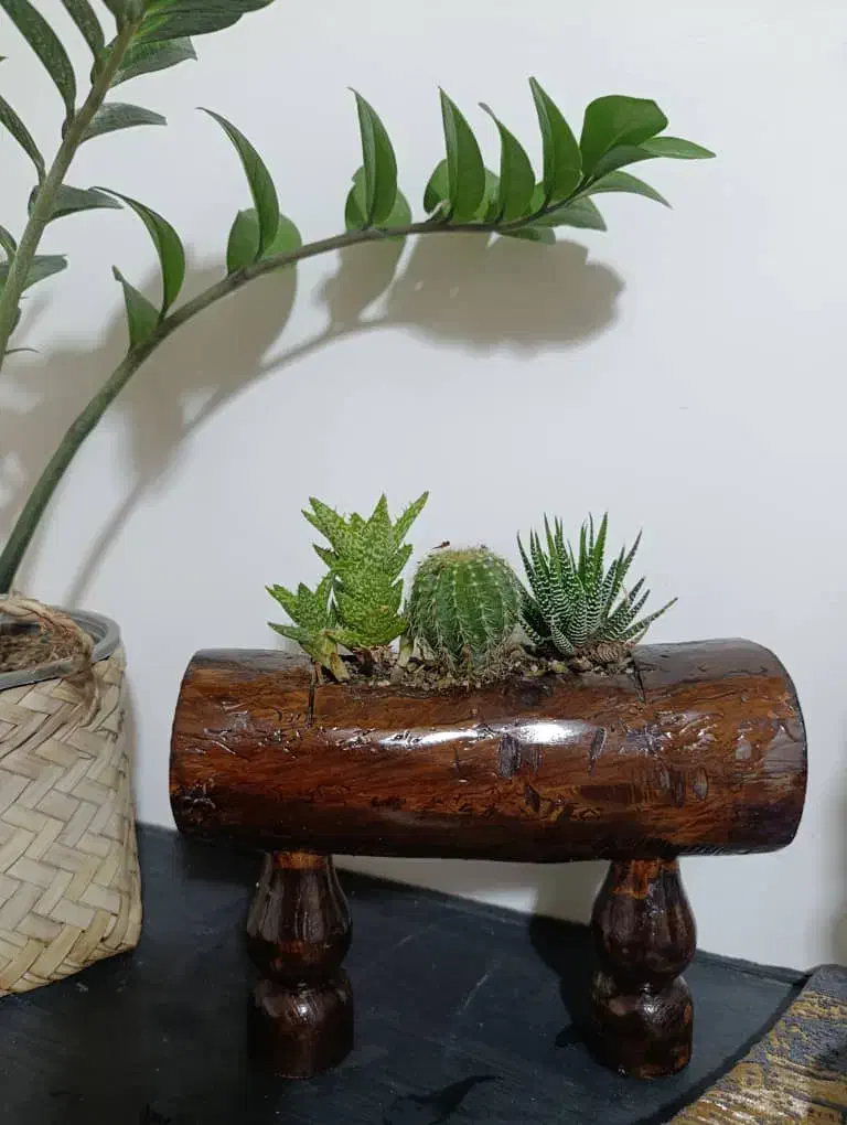 تولیدی چوبی گلدان|گل و گیاه طبیعی|قم, سراجه (۱۵ خرداد)|دیوار