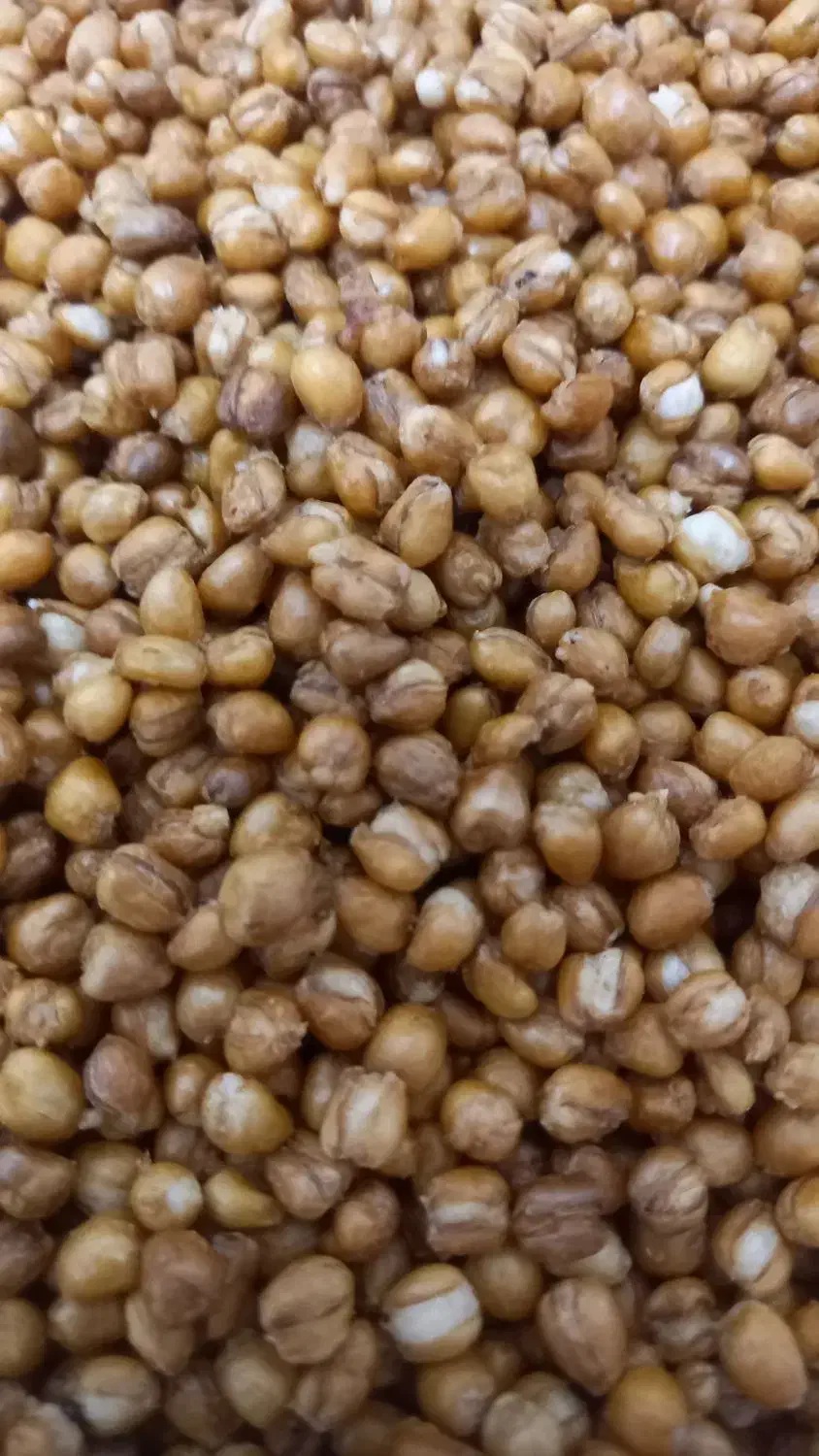 ادمین جهت فروش محصولات خانگی|استخدام بازاریابی و فروش|شوشتر, |دیوار