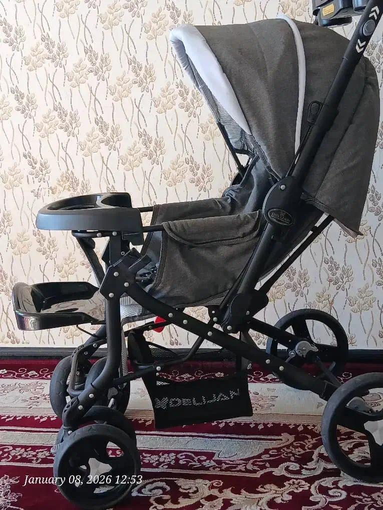 کالسکه|کالسکه و لوازم جانبی|یاسوج, |دیوار