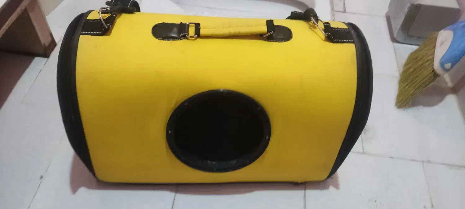 لونه گربه|لوازم جانبی حیوانات|شیراز, امام حسین|دیوار