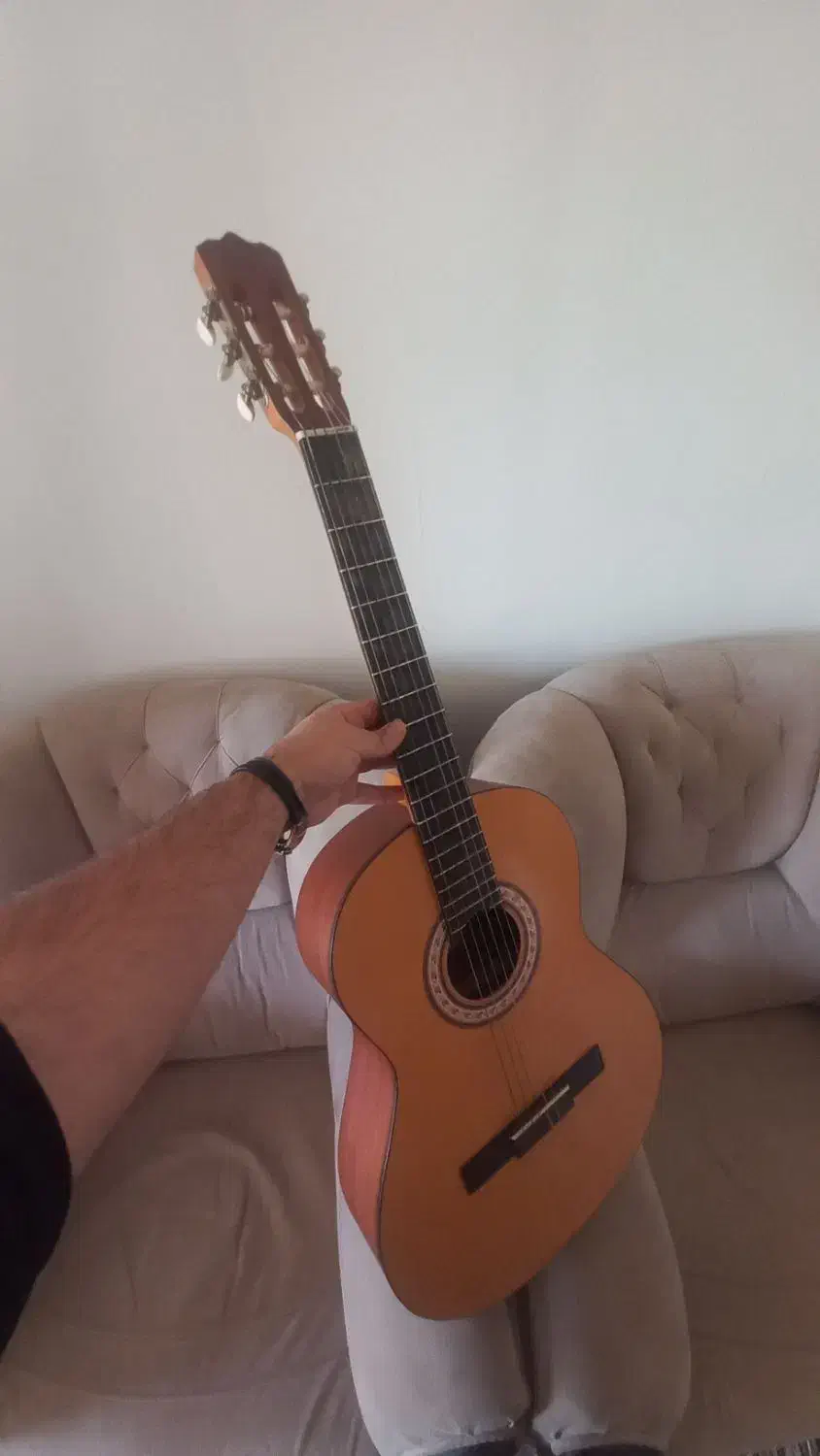 گیتار پارسی مدل m2|گیتار، بیس، امپلیفایر|محمدشهر, شهرک پیام (مهرالبرز)|دیوار