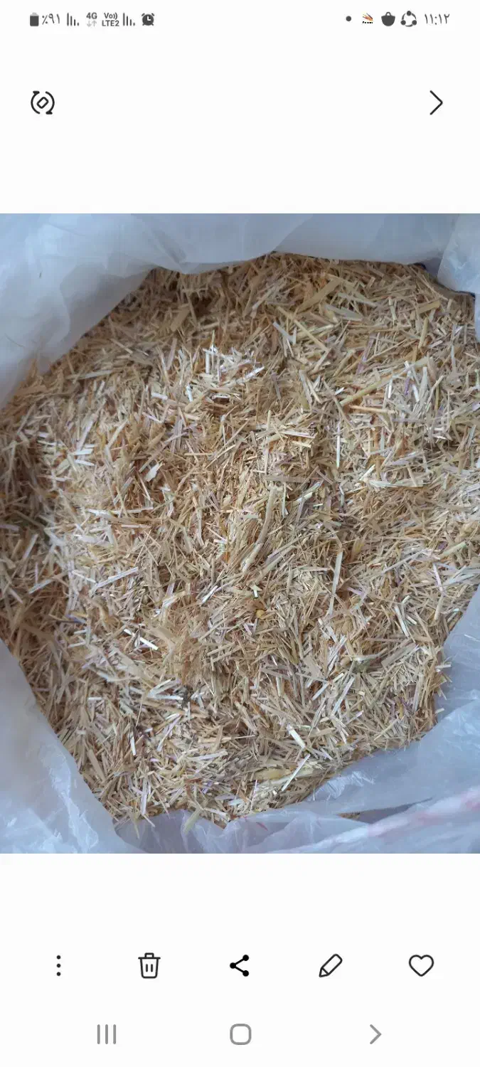 کاه درجه یک یک|عمدهفروشی|شیروان (خراسان), |دیوار