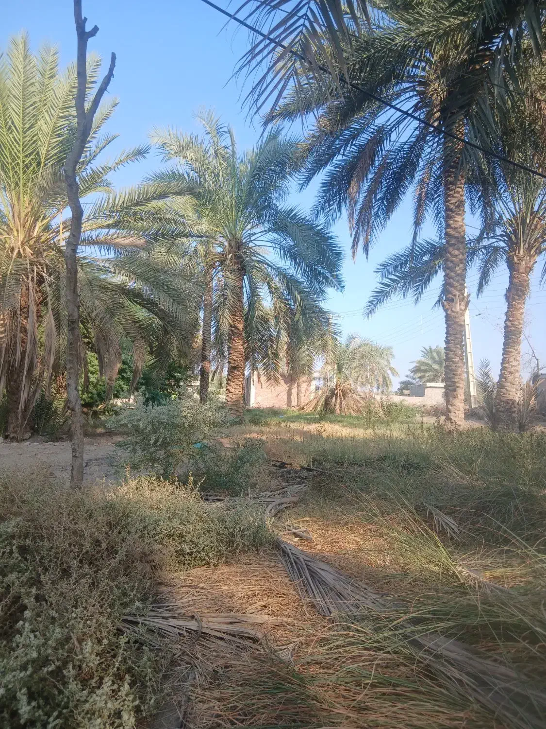 زمین.مسکونی|فروش زمین و ملک کلنگی|عنبرآباد, |دیوار