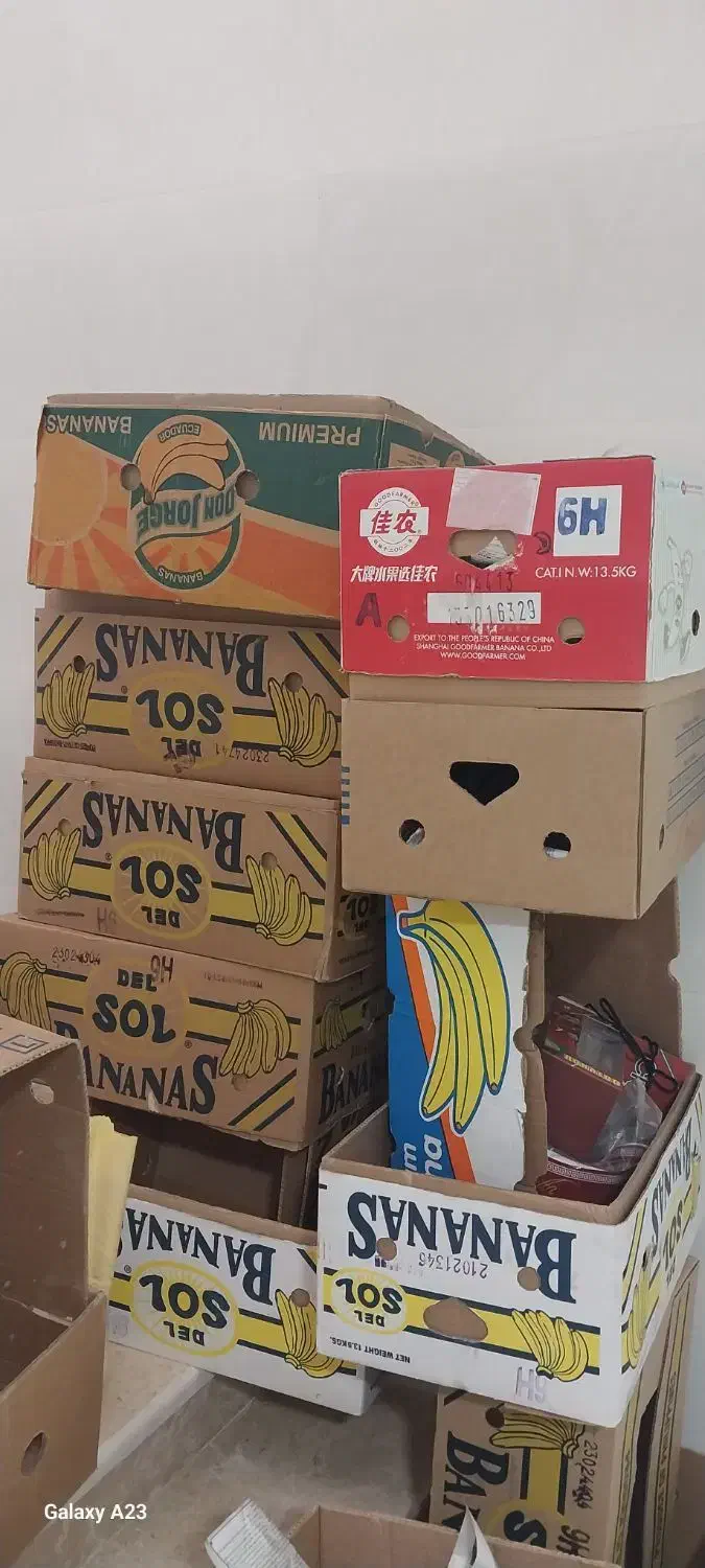 کارتون موزی|حراج|گرمسار, |دیوار