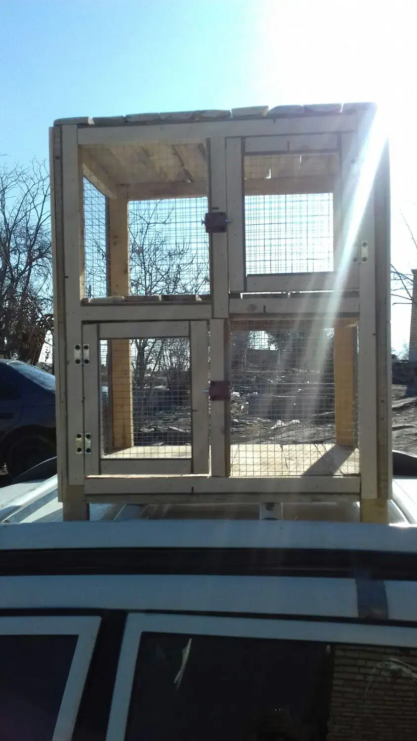 ساخت قفس چوبی|لوازم جانبی حیوانات|سنندج, |دیوار