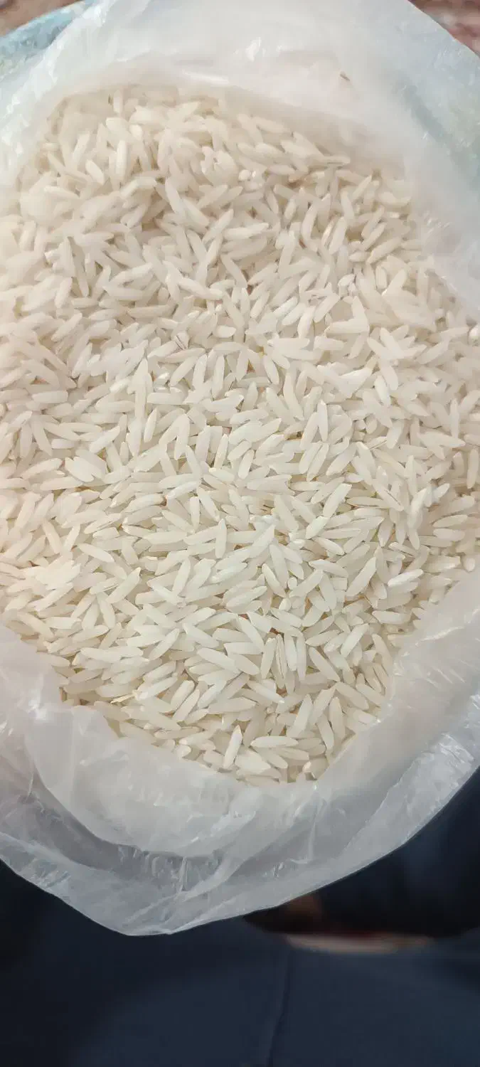 برنج‌ درشت هاشمی و لاشه هاشمی درجه یک گیلان|خوردنی و آشامیدنی|قزوین, |دیوار