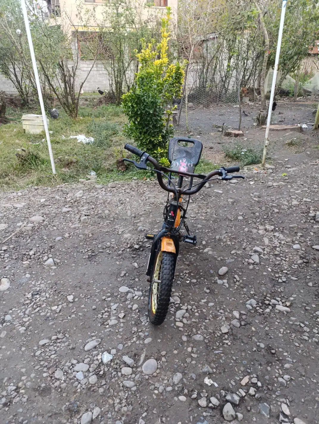 دوچرخه 16|دوچرخه، اسکیت، اسکوتر|لاهیجان, لفمجان|دیوار