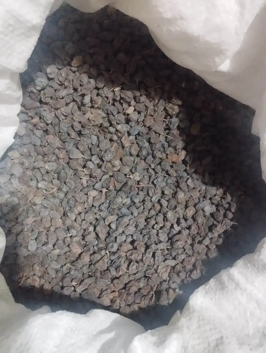 کشمش آفتابی|خوردنی و آشامیدنی|بناب, |دیوار